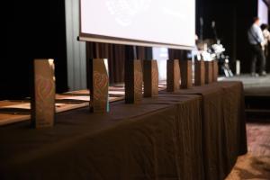 APS Data Awards trophies