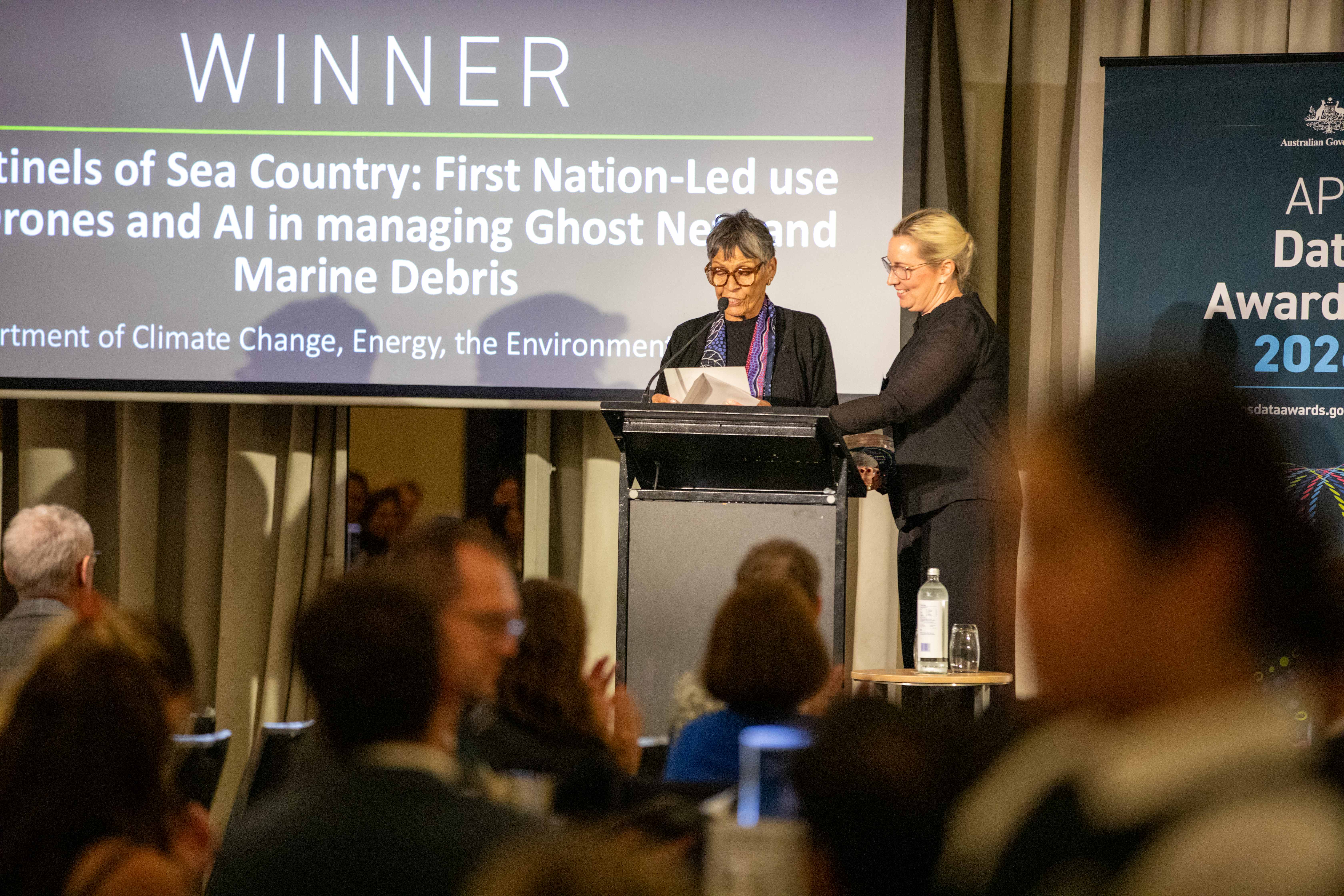 Diversity and Inclusion in Data Award